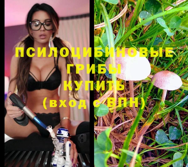 кристаллы Кодинск