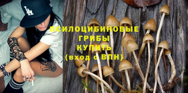 бошки Касимов