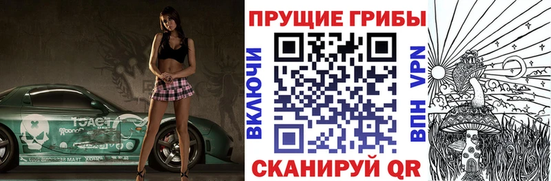хочу наркоту  Инсар  Псилоцибиновые грибы Psilocybe 